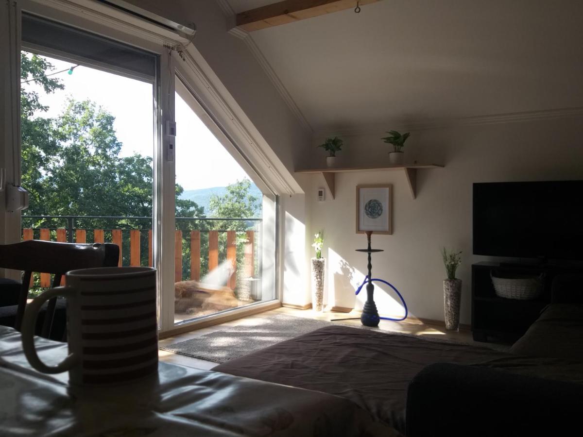 Toelgyerdo Apartman Kismaros Extérieur photo