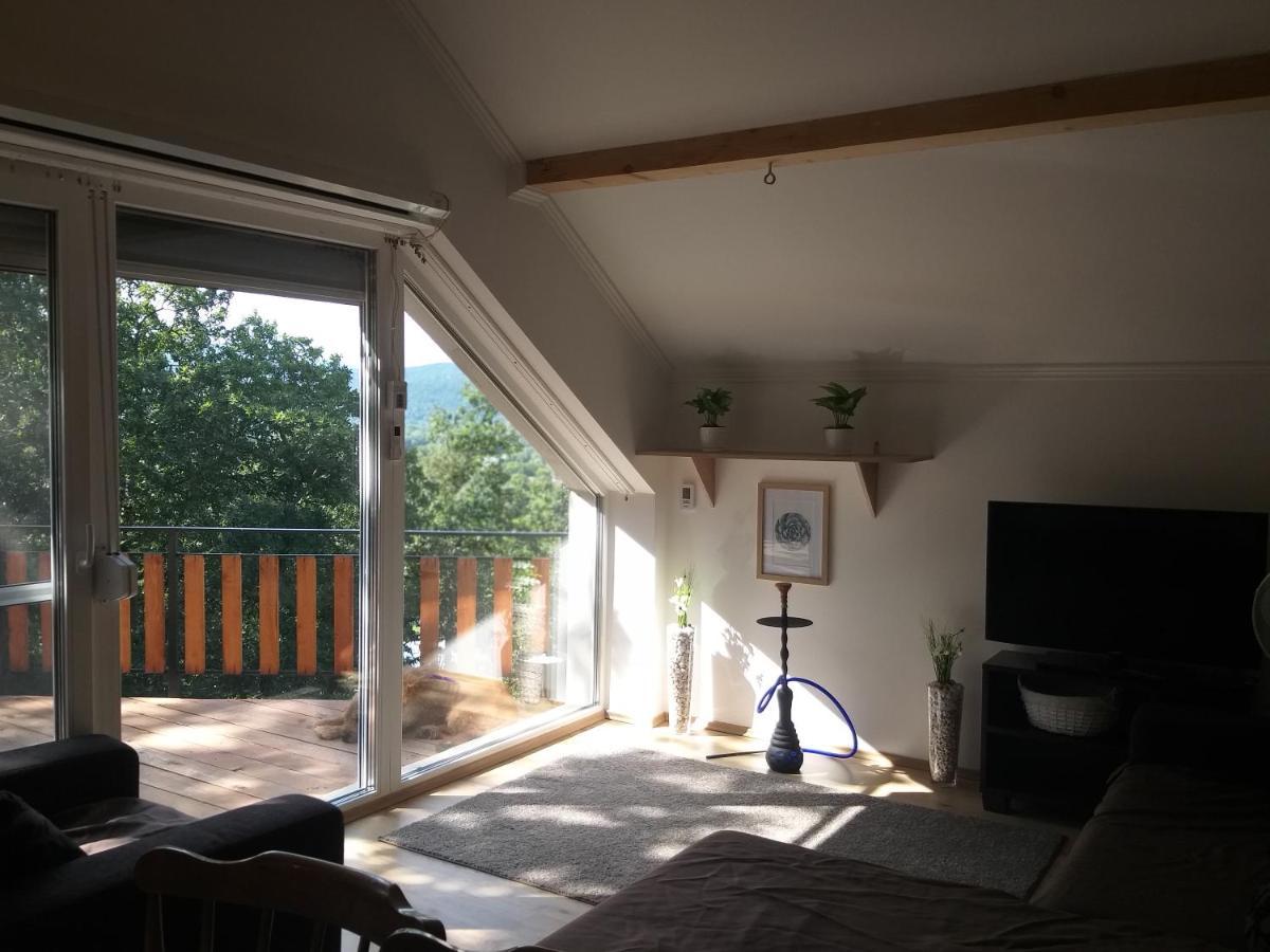 Toelgyerdo Apartman Kismaros Extérieur photo